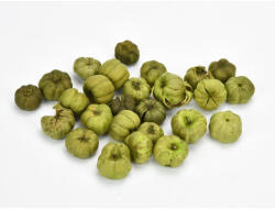 Tökbogyó zöld 20db/csomag