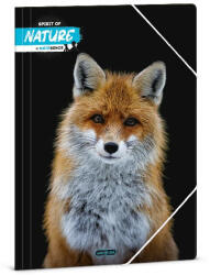 Ars Una Gumis mappa ARS UNA A/4 Máté Bence-fox