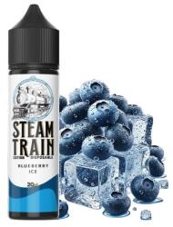 Steam Train Disposable Edition Blueberry Ice 20ml/60ml