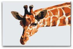  Festés számok szerint - Vektor zsiráf Méret: 20x30cm, Keretezés: Műanyagtáblával