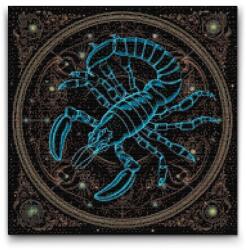  Gyémántszemes kirakó - Skorpió Méret: 50x50cm, Keretezés: Keret nélkül (csak a vászon), Gyémántok: Kerek