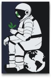  Festés számok szerint - Űrhajós növénnyel Méret: 20x30cm, Keretezés: Keret nélkül (csak a vászon)