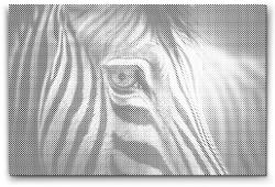  PontPöttyöző - Zebra közelről Méret: 40x60cm, Keretezés: Kartonlemezen, Szín: Fekete