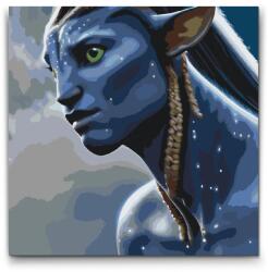  Festés számok szerint - Avatar Méret: 50x50cm, Keretezés: Kartonlemezen