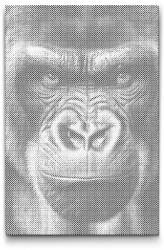  PontPöttyöző - Gorilla arca Méret: 40x60cm, Keretezés: Keret nélkül (csak a vászon), Szín: Zöld