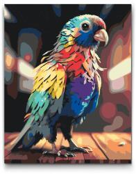  Festés számok szerint - Papagáj szivárvány színekben Méret: 30x40cm, Keretezés: Kartonlemezen