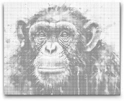  PontPöttyöző - Majom Méret: 40x50cm, Keretezés: Keret nélkül (csak a vászon), Szín: Kék