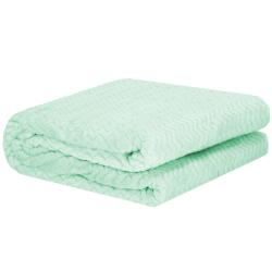 Springos Pătură 130x180 HA7133 turcoaz (S-HA7133) Patura