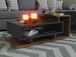 BT D2 dohányzóasztal 90 cm antracit - ezüst tölgy FN