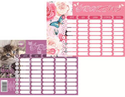 T-Creative T-creatív órarend kicsi kétoldalas Girls