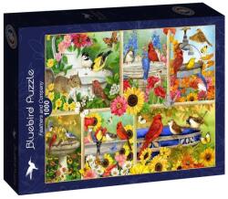 Bluebird Puzzle 1000 db-os puzzle - Feathers and Company (91040) (91040)