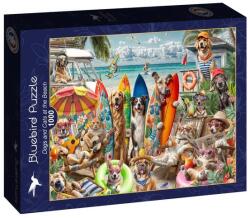 Bluebird Puzzle 1000 db-os puzzle - Dogs and Cats at the Beach (91044) (91044)