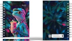 BiroCo A4 spirálfüzet, 60 lap, Pergamen, Gyík modell, 4 db/szett