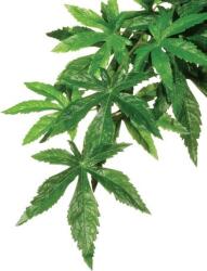 Exo Terra H. Exo-Terra 3042 Abuliton "M