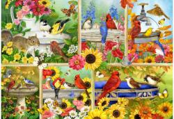 Bluebird Puzzle 91040 - Feathers and Company - 1000 db-os puzzle (91040)