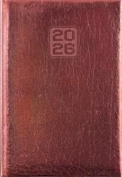 Dayliner Naptár, tervező, A5, napi, DAYLINER, Mirror , bronz (NMNBRU) - iroda24