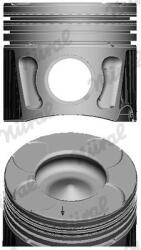 NÜRAL Piest NÜRAL 87-435700-10 (87-435700-10)