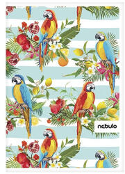 Nebulo Spirálfüzet vonalas NEBULO L-Design A/4 70 lapos (SP-VO-LD-A4)