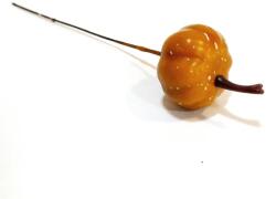  Barna drótos műtök, mérete: 2, 5 cm