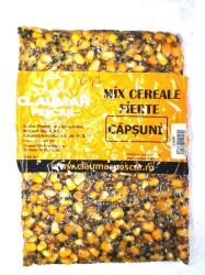 ARROW INT Mix Cereale Capsuni 1kg