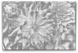  PontPöttyöző - Dália Méret: 40x60cm, Keretezés: Keret nélkül (csak a vászon), Szín: Fekete