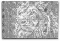  PontPöttyöző - Oroszlán esőben Méret: 40x60cm, Keretezés: Keret nélkül (csak a vászon), Szín: Kék