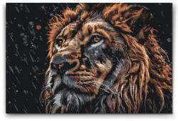  Festés számok szerint - Oroszlán esőben Méret: 40x60cm, Keretezés: Keret nélkül (csak a vászon)