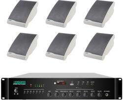 DSPPA Pachet Sonorizare 60W de perete, Radio FM+USB, DSPPA MP260U+6xDSP106II (Pachet MP260U+6xDSP106II)