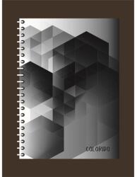Patria Colorido A/4 200 lapos vonalas spirálfüzet (P1112-0529)