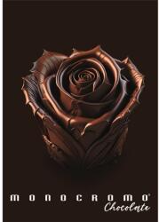 Pigna Chocolate A/4 38 lapos vonalas füzet (P1111-2059)
