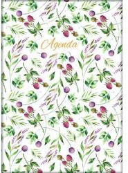 Dayliner Naptár, tervező, A5, napi, DAYLINER, "Colors", Berries (NCA5BEU) - jatekotthon