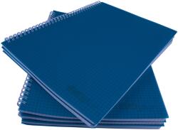 EVOffice A4 jegyzetfüzet, Fém spirálos, Mikroperforációval és műanyag borítóval, 100 lapos, Matematika, 5db/készlet (EV6G11M/5)