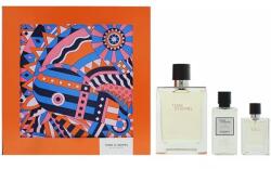 Hermès Terre D'Hermes Комплект (EDT 100ml + EDT 12.5ml + After Save Balm 40ml) за Мъже