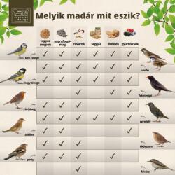 Esschert Design Formába tömörített madáreleség, házikó, 10 cm