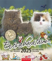 CSG Naptár, fali, CSG "Én és a barátaim" FNU05 (FNU05)
