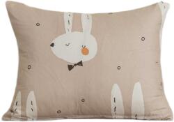  Mikroszálas párnahuzat WHITE RABBIT 40x50 cm, bézs