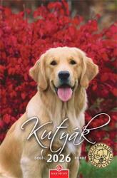 CSG Naptár, fali, CSG Kutyák (NCFN098)