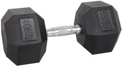 inSPORTline Hatszög kézisúlyzó inSPORTline Hexsteel 40 kg (22098) - s1sport