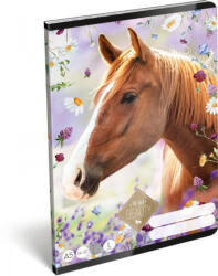  Állatos Lovas/Wild Beauty Brown 1. osztályos vonalas füzet, A5/14-32 (LI_2019_15456)