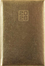 Dayliner Naptár, tervező, A5, napi, DAYLINER, "Mirror", arany (NMNAU) - kreativjatek