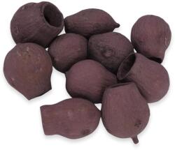  Eukalyptus Bell Gum szeder