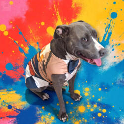  Absztrakt barna/kék virágos esőkabát (HR209422)