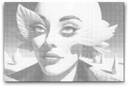  PontPöttyöző - Citrom hölgy Méret: 40x60cm, Keretezés: Kartonlemezen, Szín: Piros