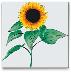  Festés számok szerint - Napraforgó 2 Méret: 50x50cm, Keretezés: Kartonlemezen