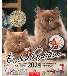 CSG Naptár, fali, CSG "Én és a barátaim (NCFNU05) - jatekotthon