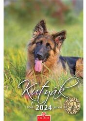 CSG Naptár, fali, CSG "Kutyák (NCFN098) - jatekotthon