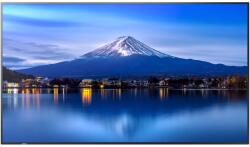 NEC MultiSync P656 60006061