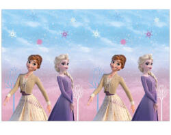 Procos Disney Frozen II Wind Spirit 120x180 cm PNN93841 Fata de masa