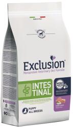 Exclusion Monoprotein Vet Diet Intestinal All Breeds Puppy száraz kutyatáp - sertés, rizs 12 kg