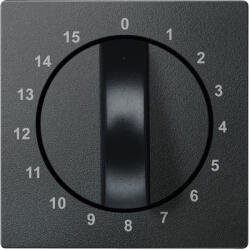 Schneider Electric Schneider Merten Fedlap, időkapcsolóhoz (15p), System-M, antracit 539014 (539014)